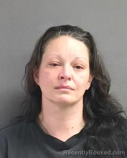 Mugshot of JESSICA ANNE REGAN booked in Volusia County, Florida on May 4, 2026