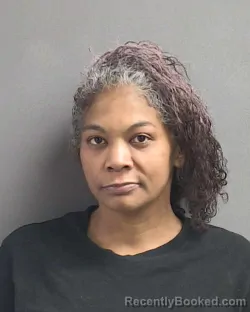 Mugshot of HERMINIA CARIDAD RICHARDSON booked in Volusia County, Florida on May 5, 2026