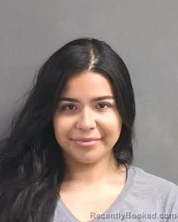 Mugshot of CRISTALY S RAMIREZ booked in Volusia County, Florida on May 5, 2026