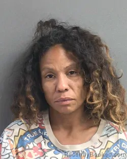 Mugshot of YESENIS ROMAN booked in Volusia County, Florida on May 8, 2026