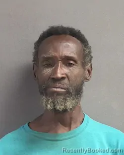 Mugshot of HAROLD E BROWN booked in Volusia County, Florida on May 8, 2026
