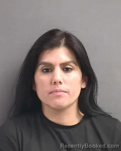 Mugshot of SHARON ECHEVERRI booked in Volusia County, Florida on May 10, 2026