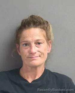 Mugshot of AMANDA DAWN PRINCE booked in Volusia County, Florida on May 11, 2026
