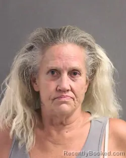 Mugshot of DEBORAH ANN ANDERSON booked in Volusia County, Florida on May 12, 2026