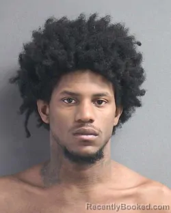 Mugshot of MARQUEZ J WILLIAMS booked in Volusia County, Florida on May 13, 2026