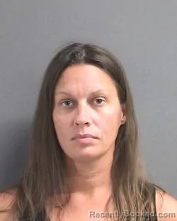 Mugshot of MARIA LYYN TOMLIN booked in Volusia County, Florida on May 14, 2026