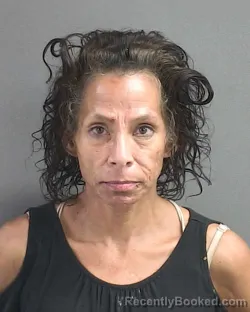 Mugshot of VENESSA LYNN HILDENBRAND booked in Volusia County, Florida on May 16, 2026