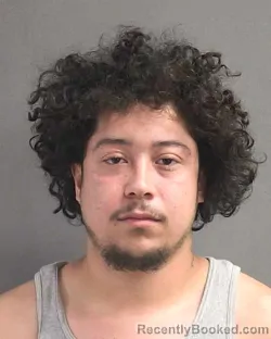 Mugshot of JUAN FELIPE ZAMORA booked in Volusia County, Florida on May 16, 2026