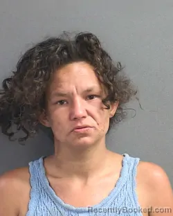Mugshot of MEAGAN L COLWELL booked in Volusia County, Florida on May 16, 2026