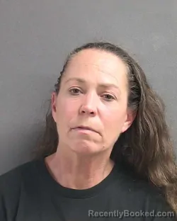 Mugshot of ELLIE MAE PARK booked in Volusia County, Florida on May 19, 2026