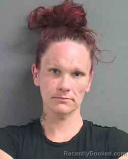 Mugshot of ALYSIA R SNYDER booked in Volusia County, Florida on May 21, 2026