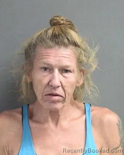 Mugshot of PHYLLIS JOY COLAHAN booked in Volusia County, Florida on May 21, 2026