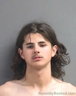 Mugshot of TRISTAN COLE LEWIS booked in Volusia County, Florida on May 23, 2026