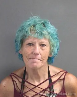 Mugshot of PATRICIA ELLYN SICILIANO booked in Volusia County, Florida on May 23, 2026