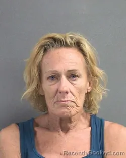 Mugshot of SHANNON K DAVIS booked in Volusia County, Florida on May 24, 2026