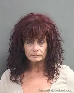 Mugshot of SUZANNE MARIE DRAPER booked in Volusia County, Florida on May 24, 2026