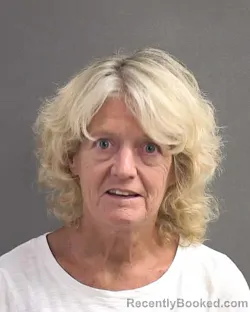 Mugshot of JULIE A CONNORS booked in Volusia County, Florida on May 25, 2026