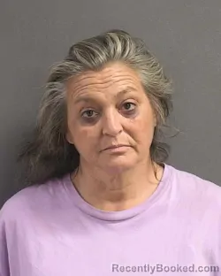 Mugshot of CHAIRE J HO booked in Volusia County, Florida on June 11, 2026