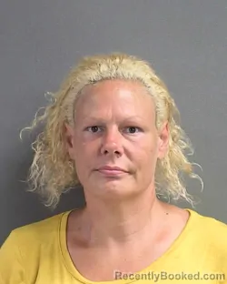 Mugshot of HEATHER RENEE YANICK booked in Volusia County, Florida on June 15, 2026