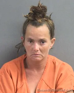 Mugshot of TONI M MACLEAN booked in Volusia County, Florida on June 18, 2026