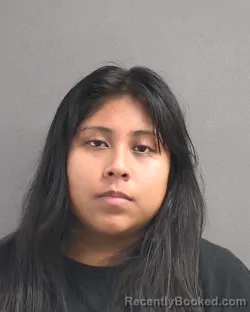 Mugshot of GALILEA L MARTINEZ booked in Volusia County, Florida on June 20, 2026