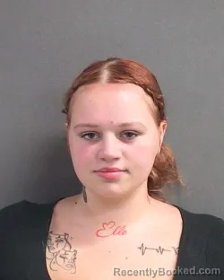 Mugshot of ELYSSA ROSE PULA booked in Volusia County, Florida on June 20, 2026