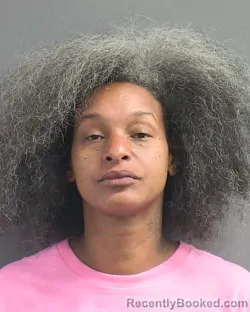 Mugshot of TIFFANY MARIE EBANKS booked in Volusia County, Florida on June 20, 2026