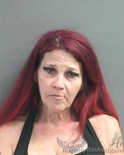 Mugshot of LISA ANN WILLMOTT booked in Volusia County, Florida on June 21, 2026