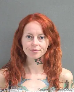Mugshot of AMY KRISTEN ADAMS booked in Volusia County, Florida on June 22, 2026