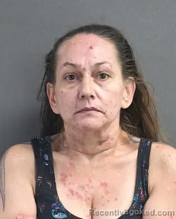 Mugshot of KIM ROBIN SILLSBURY booked in Volusia County, Florida on June 23, 2026