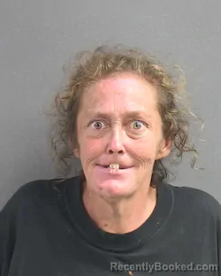 Mugshot of CHANDRA V NICIU booked in Volusia County, Florida on June 23, 2026