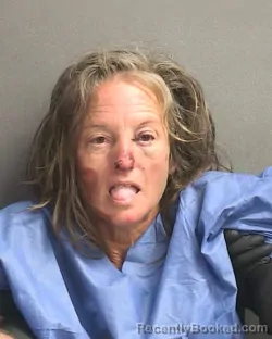 Mugshot of JULIE M ODOM booked in Volusia County, Florida on June 23, 2026