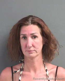 Mugshot of KARRIE ANN KIRK WILBON booked in Volusia County, Florida on June 24, 2026