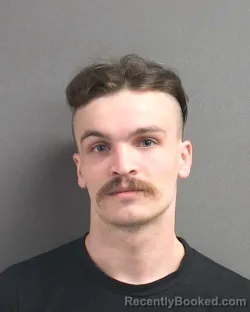Mugshot of JAMES ASHTON PALMER booked in Volusia County, Florida on June 25, 2026