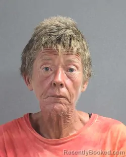 Mugshot of MIKKI ARENDA FALHOUT booked in Volusia County, Florida on June 25, 2026