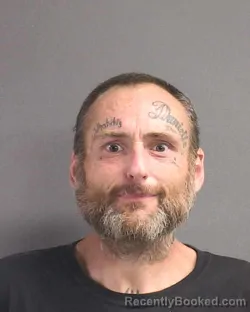 Mugshot of TIMOTHY D HOLLOWAY booked in Volusia County, Florida on June 25, 2026