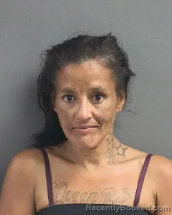 Mugshot of JEANNIE ANN MALDONADO booked in Volusia County, Florida on June 26, 2026