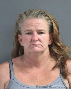 Mugshot of AMBER DAWN PETERSON booked in Volusia County, Florida on June 27, 2026