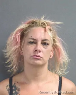 Mugshot of DELANEY M PALMER booked in Volusia County, Florida on June 29, 2026