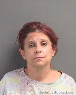 Mugshot of MEGAN EILEEN MCNEIL booked in Volusia County, Florida on June 30, 2026