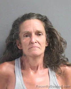 Mugshot of JENNIFER LYNN BROWN booked in Volusia County, Florida on July 1, 2026