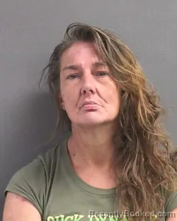 Mugshot of ERICA M LEWELLYN booked in Volusia County, Florida on July 1, 2026