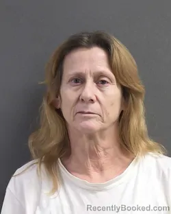 Mugshot of TINA MARIE STEPPELLO booked in Volusia County, Florida on July 1, 2026