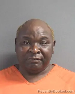 Mugshot of TIMOTHY MELVIN booked in Volusia County, Florida on July 1, 2026