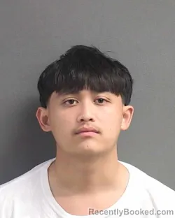 Mugshot of JOE DINH NGUYEN booked in Volusia County, Florida on July 1, 2026