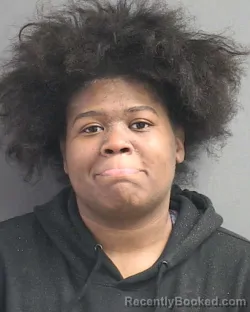 Mugshot of JA'KAIA DAJAUN WEBB booked in Volusia County, Florida on July 2, 2026