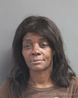 Mugshot of LISA DARFEN WILSON booked in Volusia County, Florida on July 2, 2026