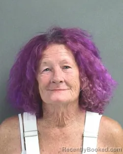 Mugshot of JACQUELINE GRACE PICKELS booked in Volusia County, Florida on July 5, 2026