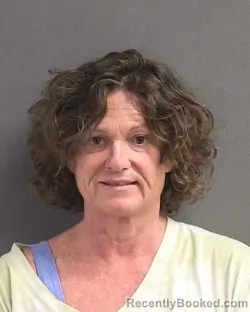 Mugshot of NATALIE ANN EVERETT booked in Volusia County, Florida on July 5, 2026