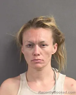 Mugshot of Cheyenne Marie Phillips
